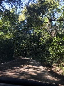 The road to the Angel Tree.