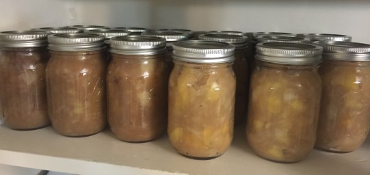 Homemade applesauce would pair nicely with the chicken soup.