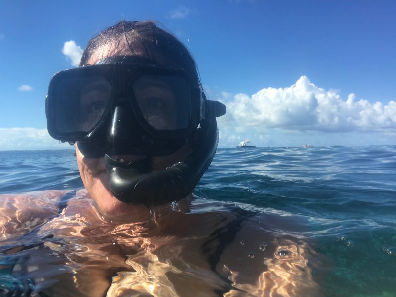 56951933310__ce7fc3e2-c907-4727-9207-6675248c04af